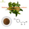Citrus Aurantium Extract powder-Synephrine 