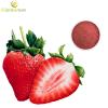 100% Freezen Dried Strawberry Juice Powder