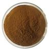 Angelica Sinensis root extract powder