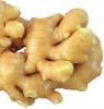 Ginger Extract-US Stock available
