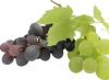 Grape Seed Extract-US Stock available