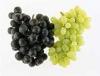 Grape Juice Powder