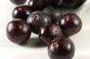 Acai Berry extract powder