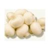 Agaricus Bisporus Powder Extract 